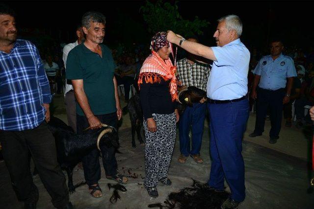 Karagöl Şenliğinde Keçi Kırkma Yarışması