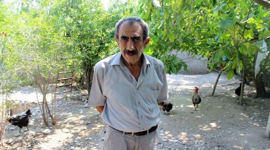 150 Tavuğu &Ccedil;alan Hırsız G&uuml;venlik Kamerasının Kayıt Cihazını Da Almış