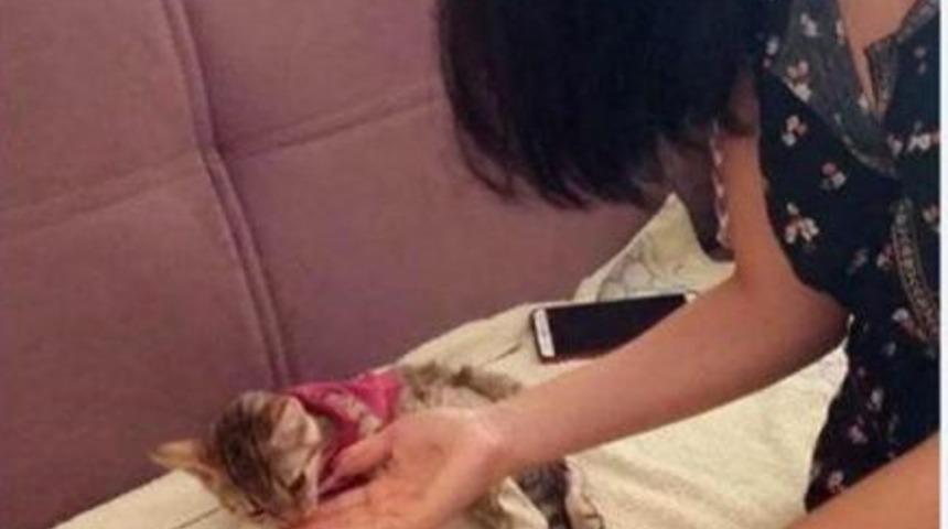 Buse, Yavru Kediyi Yaşama D&ouml;nd&uuml;rd&uuml;