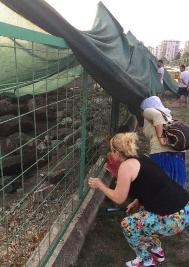 Soli Pompeiopolis’Te Binlerce Yıllık Heykeller Bulundu