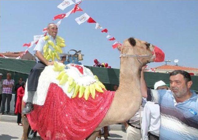 Kale'nin En Iyi Biberi Seçildi