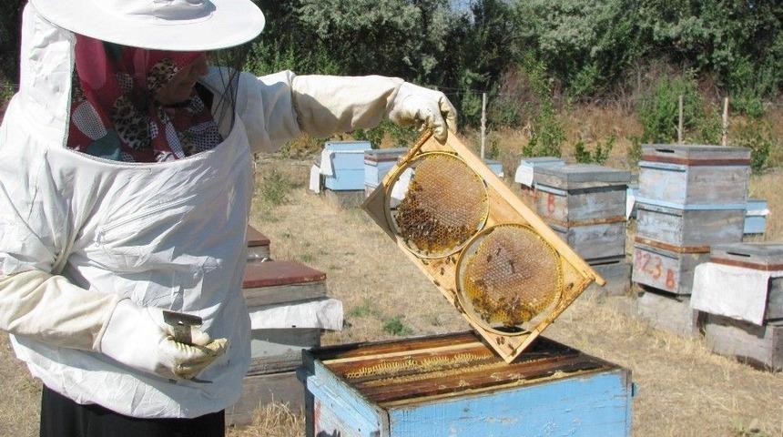 Havaların Kurak Geçmesi Arıcıları Olumsuz Etkiledi