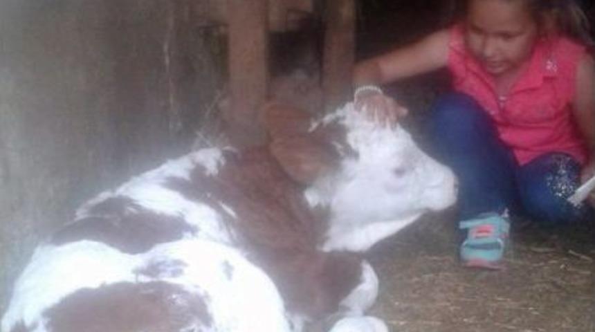 8 Yaşındaki Kızın Kahreden &Ouml;l&uuml;m&uuml;