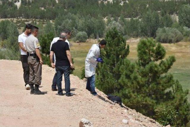 Tabanca Ile Öldürüp Baraj Kenarına Attılar