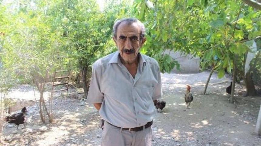 Tatildeyken 150 Tavuğu &Ccedil;alındı