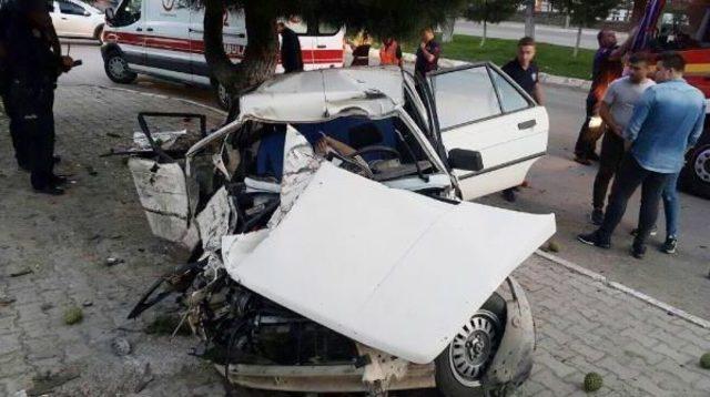 Sürücü Ağaca Çarpan Otomobilde Öldü