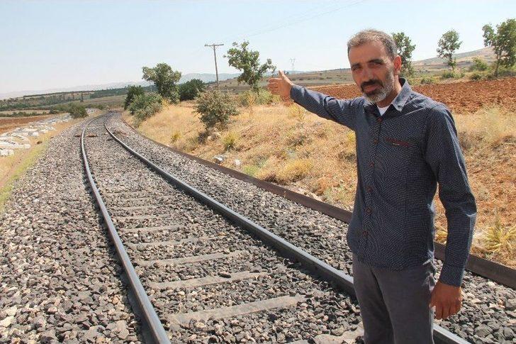 Elazığ’da Trenin Çarptığı 90 Keçi Telef Oldu G3