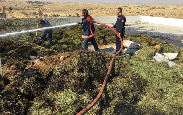 Midyat’ta Hayvan Çiftliğinde Yangın