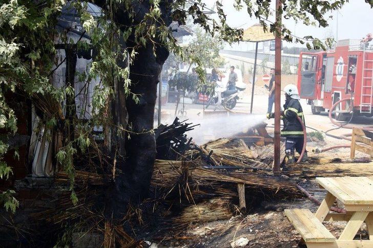 Kopan Elektrik Teli Hasır Dükkanını Yaktı G3