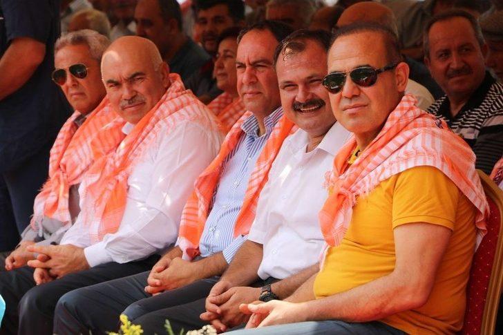 532. Kızıldağ Karakucak Güreşleri’nde 950 Pehlivan Boy Gösterdi G1