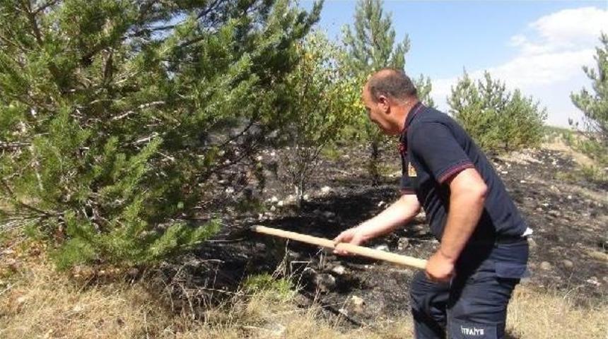 Kars&rsquo;Ta Orman Yangını