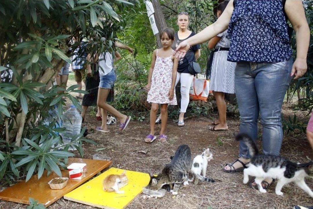 Antalya&rsquo;daki &lsquo;kedi Katliamına&rsquo; Site Sakinlerinden Tepki