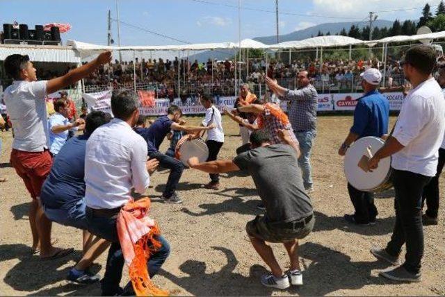 Türkiye Boğa Güreşi Şampiyonu Artvinli Cumali Oldu