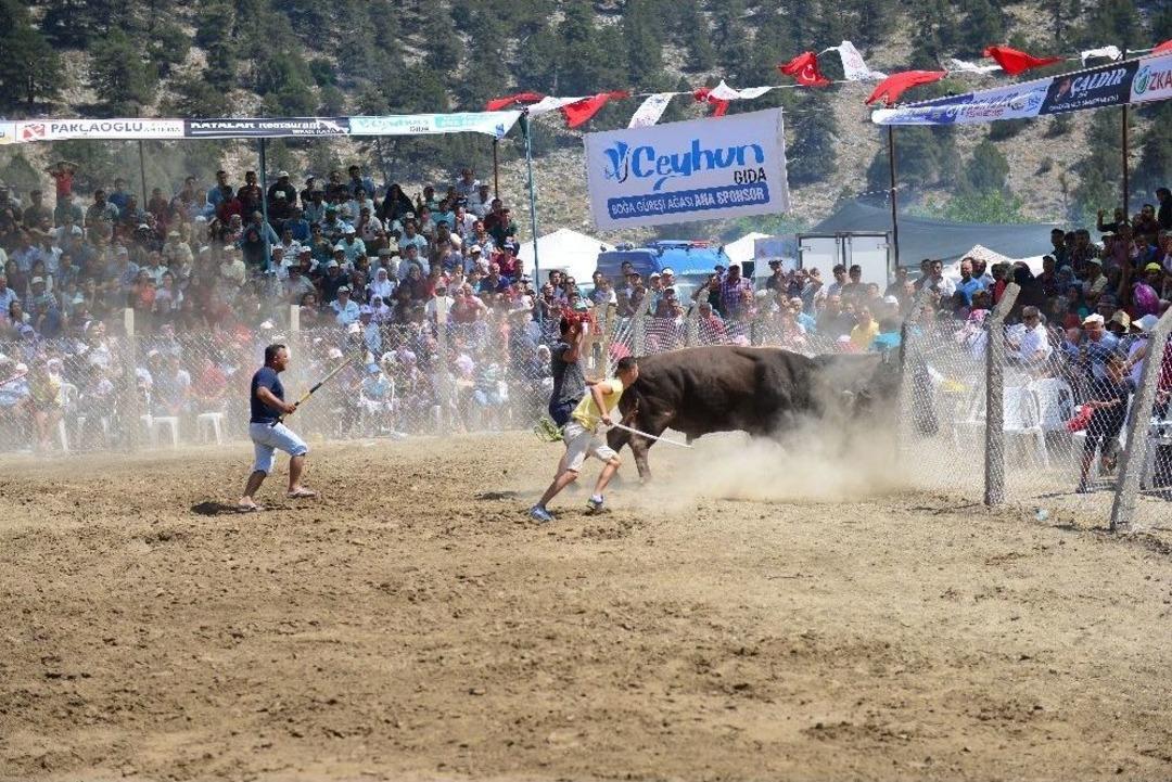 Karag&ouml;l Yayla Şenlikleri