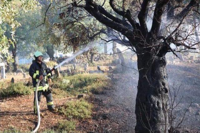 Akaryakıt Istasyonuna Yaklaşan Yangın Korkuttu