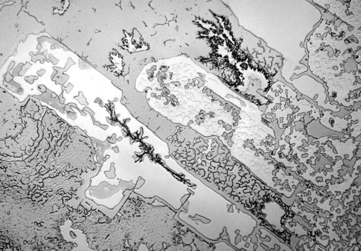 Gözyaşı Mucizevi Bir Sıvıymış!