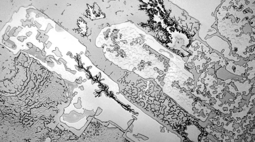 G&ouml;zyaşı Mucizevi Bir Sıvıymış!
