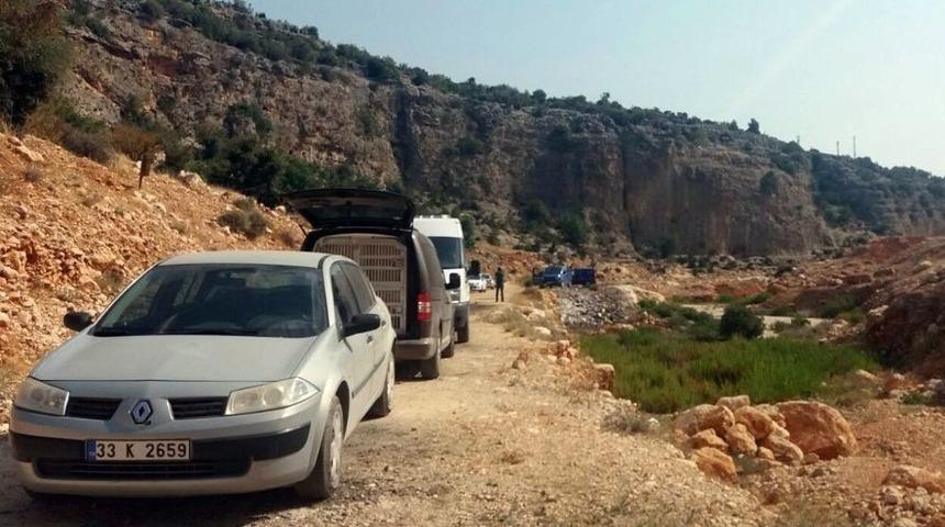 Kayıp Hollandalı &Ouml;l&uuml; Olarak Bulundu