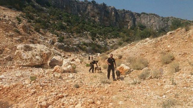 Kayıp Hollandalı Ölü Olarak Bulundu