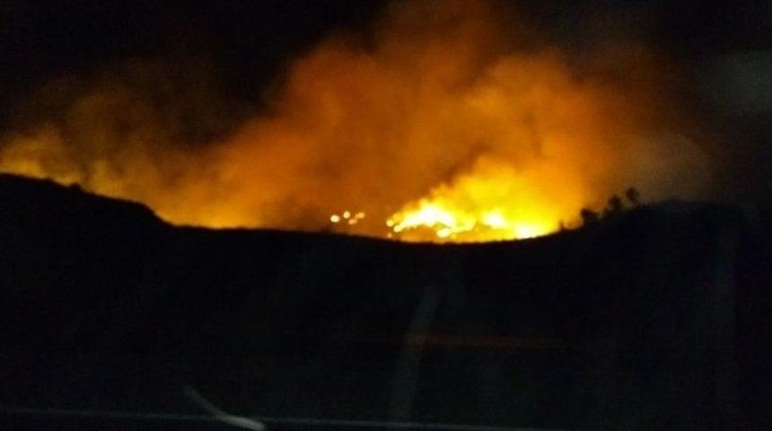 Siirt&rsquo;te Orman Yangını