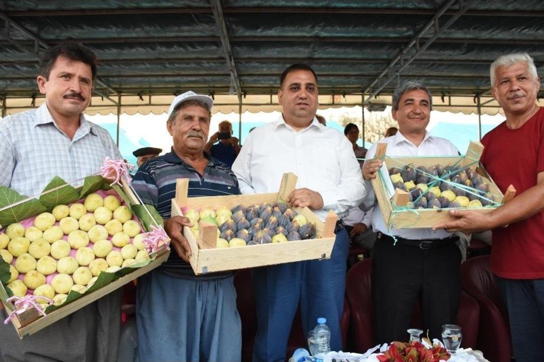 İncir Ş&ouml;leni Coşkuyla Kutlandı