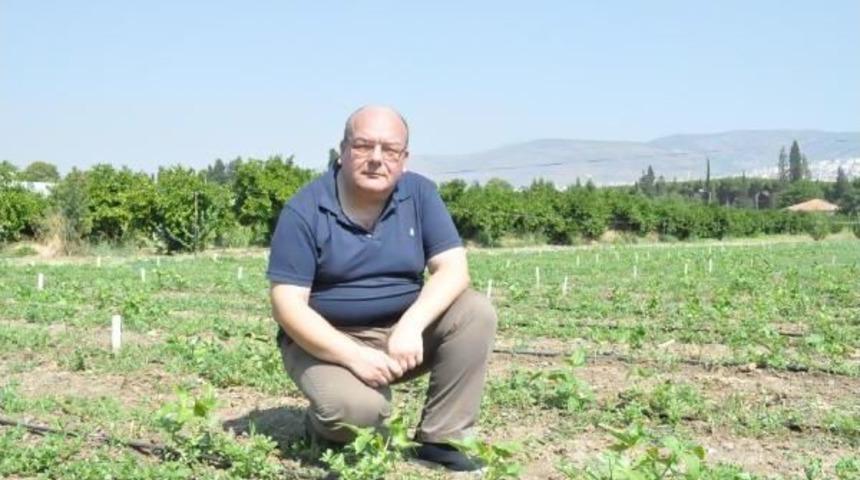 "aldığımız &Uuml;r&uuml;nler Ger&ccedil;ekten Organik Mi?"