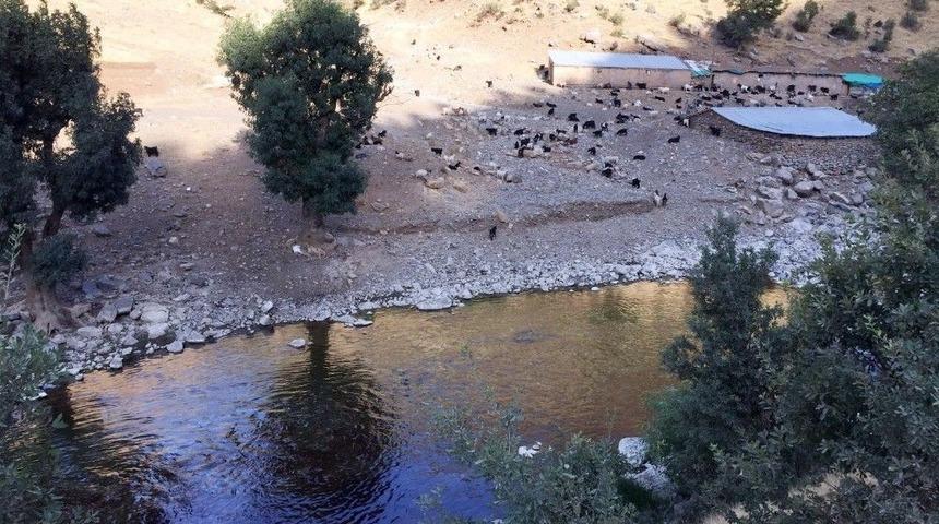 Zift Habur &Ccedil;ayı&rsquo;na Karıştı