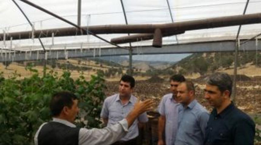 &Ccedil;ermik&rsquo;te Seracılık İstihdama Katkı Sağlıyor