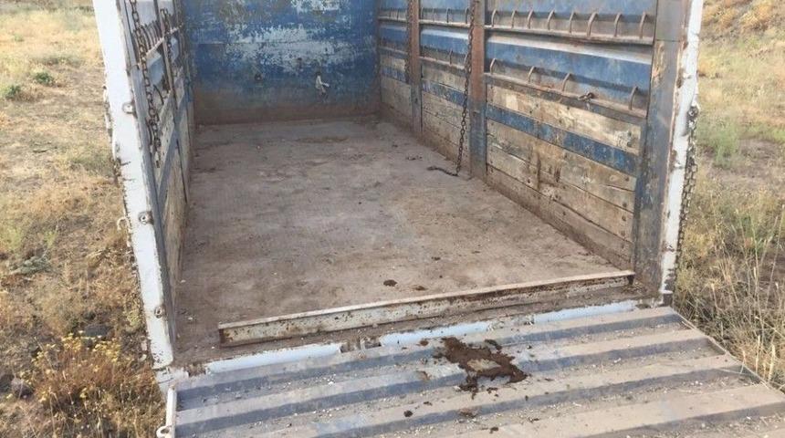 Hırsızlar Kamyonu Ve Hayvanları Bırakıp Kaçtı