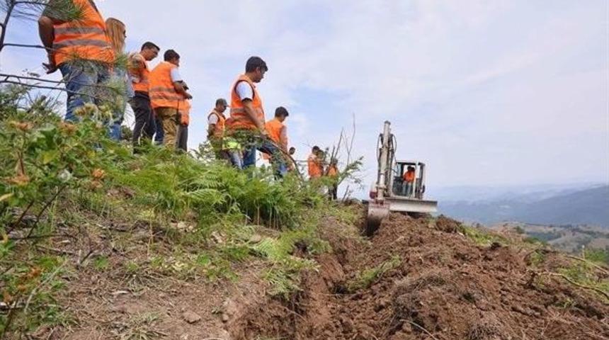 Bozuk Ormanlar İyileşiyor