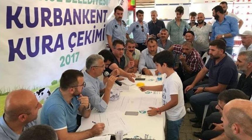 &lsquo;kurbankent&rsquo; &Ccedil;adırlarında Kura &Ccedil;ekimi Yapıldı