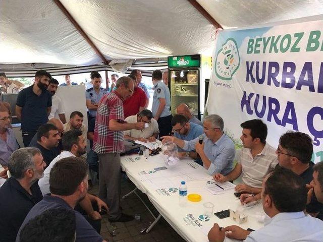 ‘kurbankent’ Çadırlarında Kura Çekimi Yapıldı