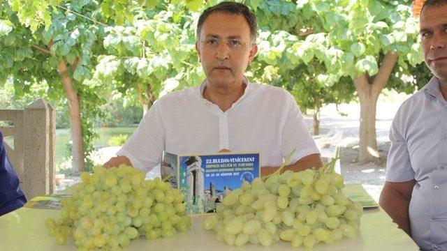 Tripolis Antik Kent’te Çekirdeksiz Üzüm Festivali Yapılacak