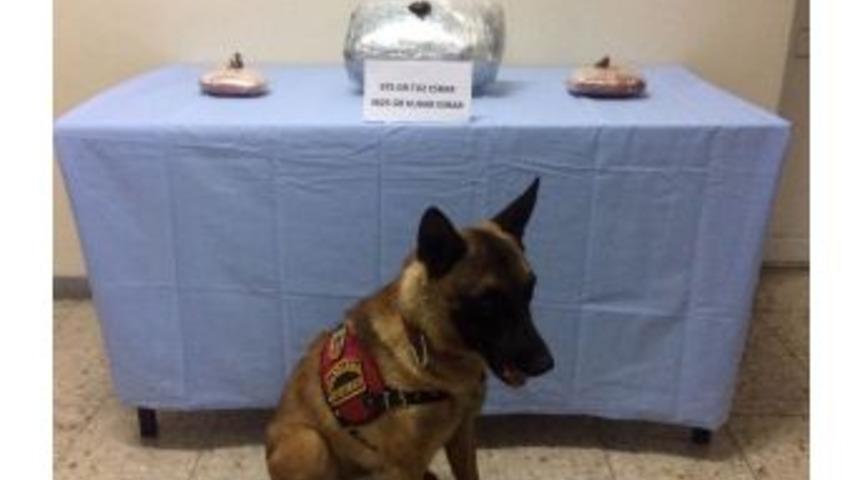 Sivas&rsquo;ta Ka&ccedil;ak&ccedil;ılık Operasyonu: 20 G&ouml;zaltı