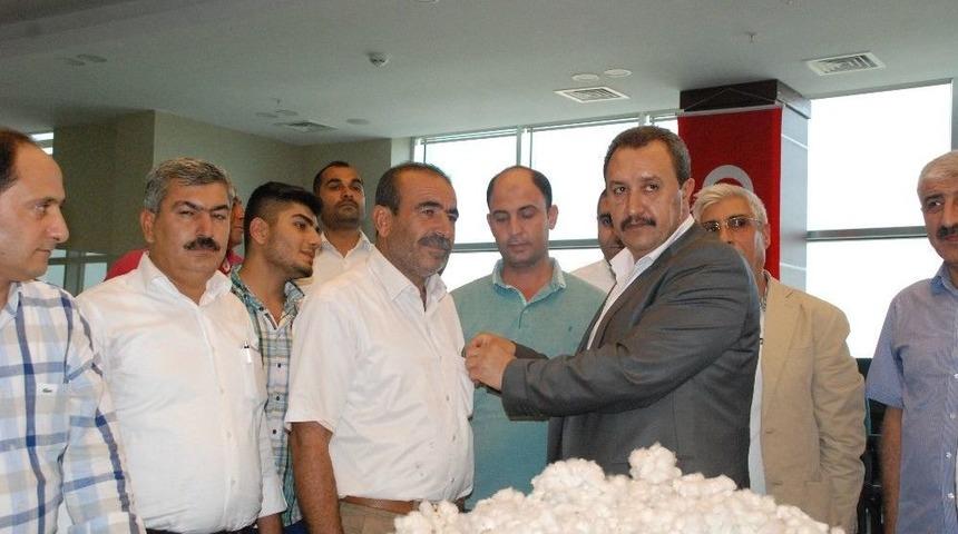 Şanlıurfa&rsquo;da Yılın İlk Pamuğu Satıldı