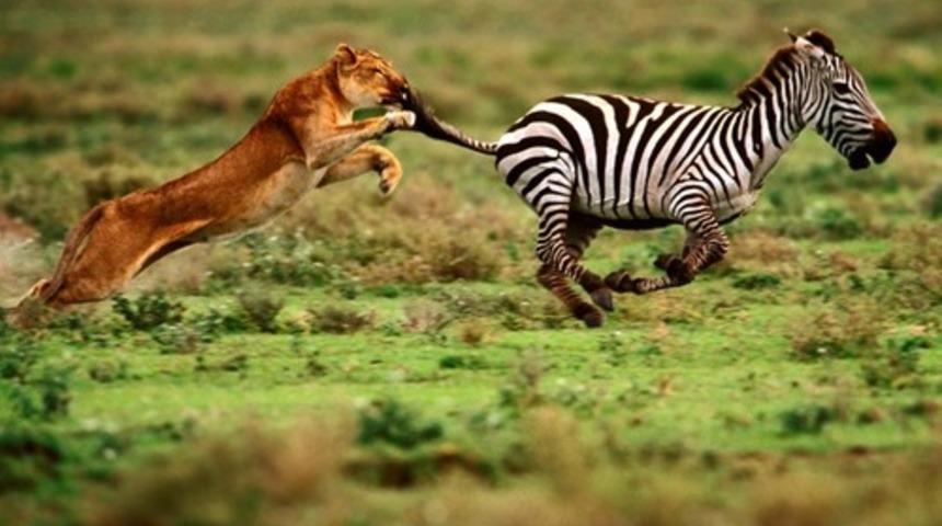 Neden Aşık Olduğumuz Kişiler Bize Aşık Olmaz?