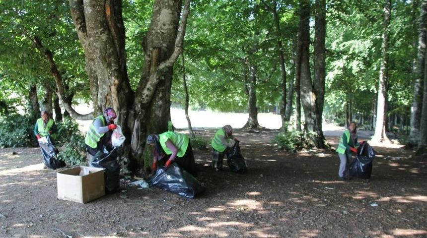 Domani&ccedil; Ormanları Temizlendi