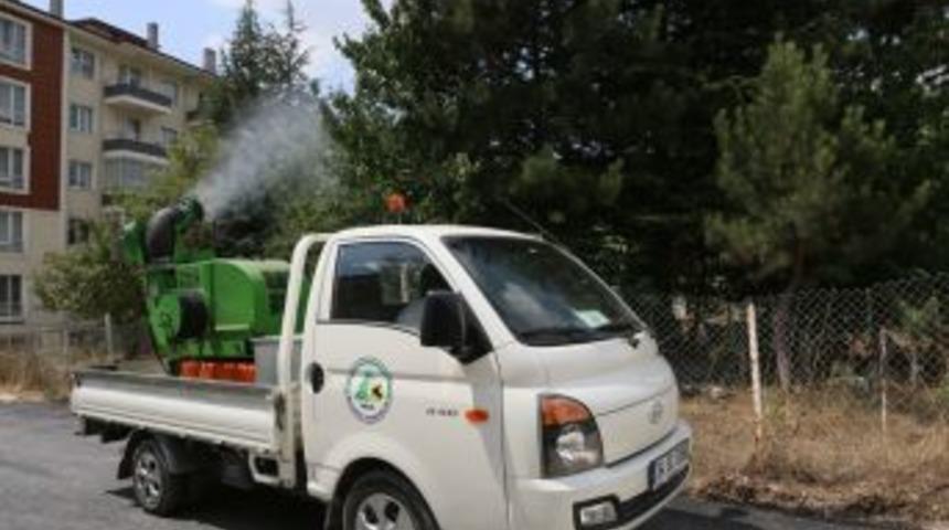 Bolu’da Larva Ve Uçkunla Mücadele Devam Ediyor