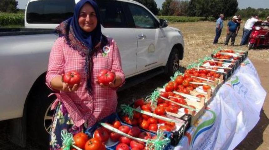 D&uuml;mrek K&ouml;y&uuml;'nde Tarla G&uuml;n&uuml; D&uuml;zenlendi