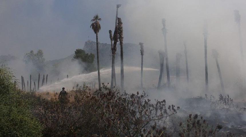 Kemer&rsquo;da &Ccedil;&ouml;p Yangını Palmiye Ağa&ccedil;larını K&uuml;l Etti