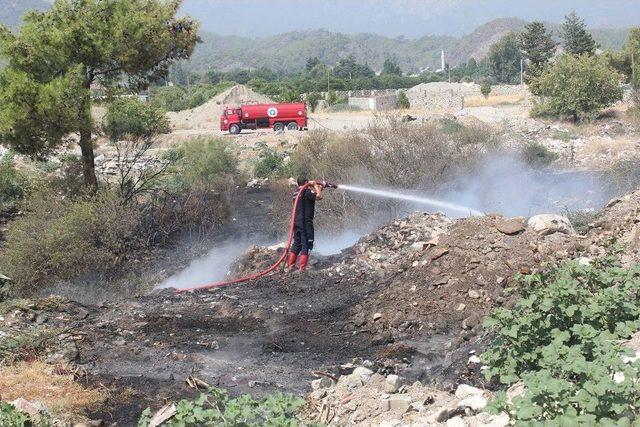 Kemer&rsquo;da &Ccedil;&ouml;p Yangını Palmiye Ağa&ccedil;larını K&uuml;l Etti 2