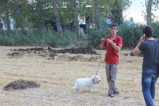 Palet Yakıtı Üreten Fabrikada Korkutan Yangın