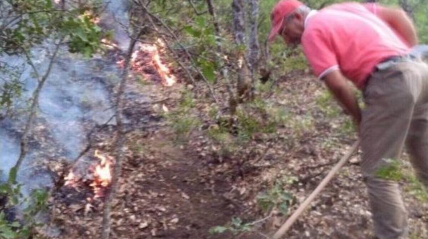 Tunceli&rsquo;deki Orman Yangınları Kontrol Altına Alındı