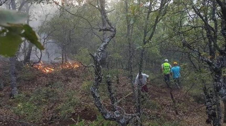 Tunceli Valiliği: Orman Yangınları Kontrol Altına Alındı