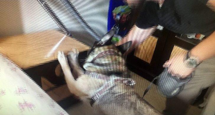 Bebek Çantasında Eroin Ele Geçirildi G2