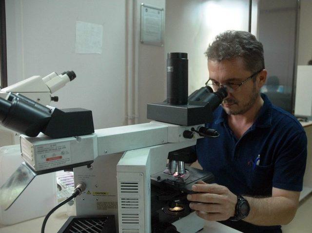 &lsquo;delta Hepatiti&rsquo;nin &Ccedil;&ouml;lyak Hastalığına Sebep Olduğu İlk Kez İspatlandı 1