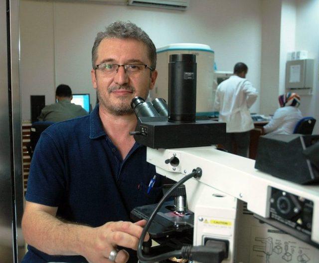 &lsquo;delta Hepatiti&rsquo;nin &Ccedil;&ouml;lyak Hastalığına Sebep Olduğu İlk Kez İspatlandı 2