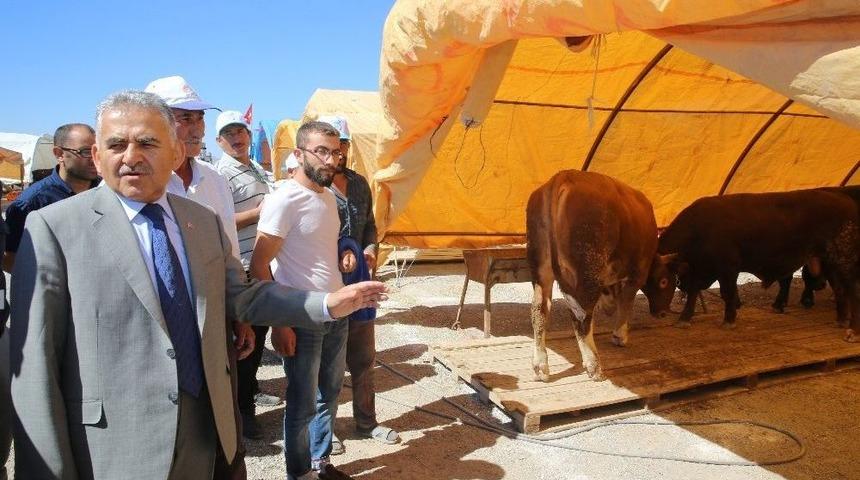 Kurban Pazarında Esnafların Yeri Kura İle Belirlendi