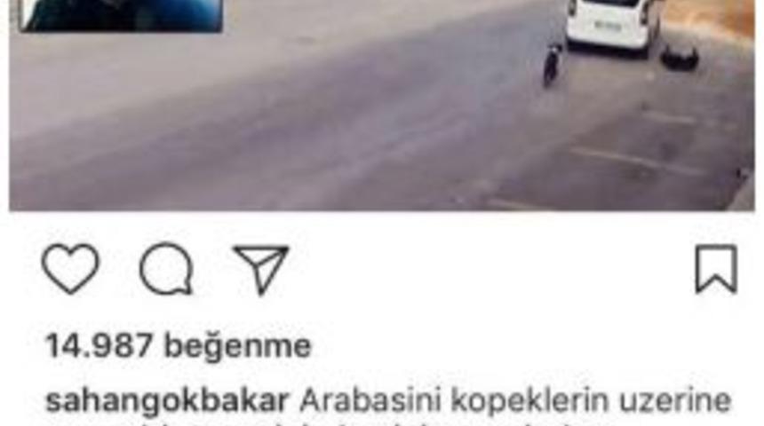 Şahan Gökbakar: Hayvanları Öldürmek Cinayettir
