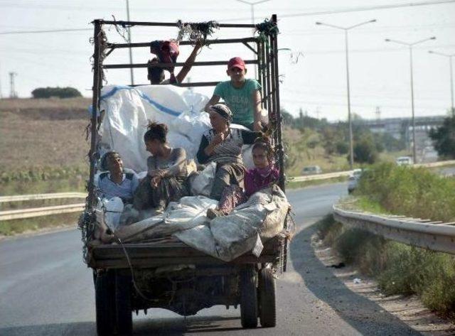 Kamyonet Üzerinde Tehlikeli Yolculuk 